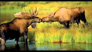 Don&#39;t count the rainy days.wmv(360p_H.264-AAC).mp4