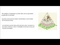 PYRAMID OF NUMBERS I ECOLOGY I ECOLOGICAL PYRAMIDS I VCACADEMY I VCSIR