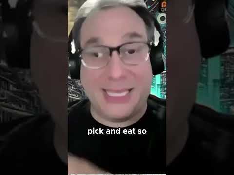 🍄 Growing Mushrooms in Orbit – The Future of Space Food?