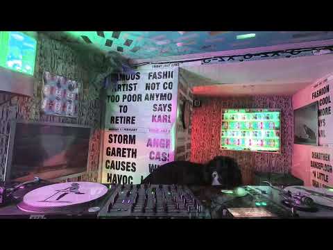 Diamin - Heads Radio 0089 - 09.03.2022 - @ Sameheads