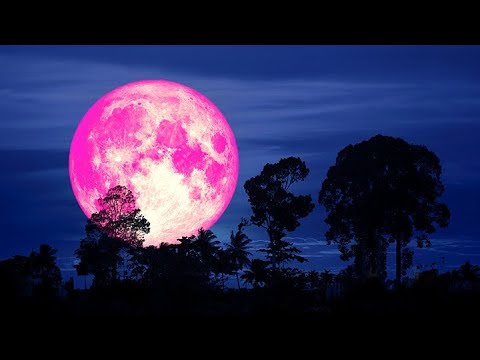 シャイアン・パーデは「オール・ザット・マターズ」で休憩中