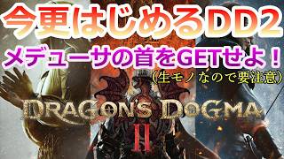 PC 「#08」 何でも石化！メデューサの首をGETするぜ‼ 今更始める‼(ダークアリズン同梱版)『ドラゴンズドグマ2 』