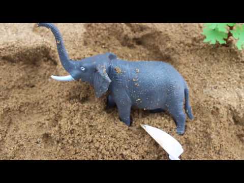 Animals Toys Collection for Kids Takara Tomy Learn Fun Animal Names