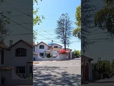 Calle 25 de Mayo, Dorrego #guaymallen #mendoza #argentina #shorts