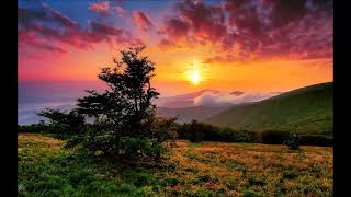 Je ne suis fils de personne (Serge Rezvani)