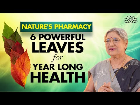 6 Healing Leaves That Can Keep You Healthy All Year Long | Recipes | Methi, Bathua, Palak & More