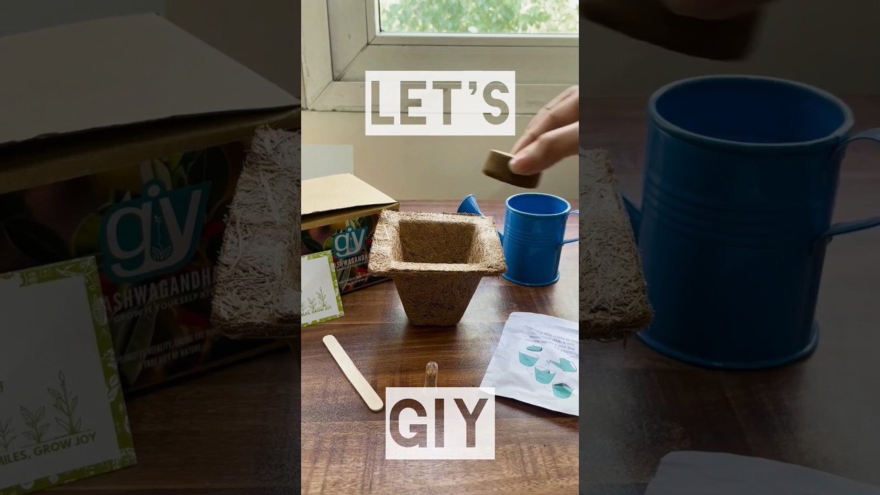 Ready set grow!!! 🪴🪴 Join us on a journey from seed to a plant with our GROW IT YOURSELF kit!