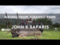 A Kudu From Jurassic Park Massive Kudu Hunt In South Africa John X Safaris