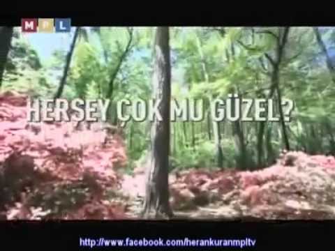 MUTLULUK İMAM İSKENDER ALİ MİHR HZ.