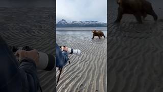 Craziest Bear attack of all time 😱 #shorts