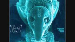 Tad- Emotional Cockroach