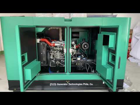 Pua Generator 50kva 3p Yandong Diesel generator