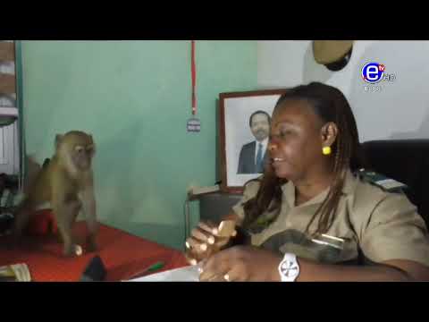 PIDGIN NEWS THURSDAY DECEMBER 02, 2021 - EQUINOXE TV