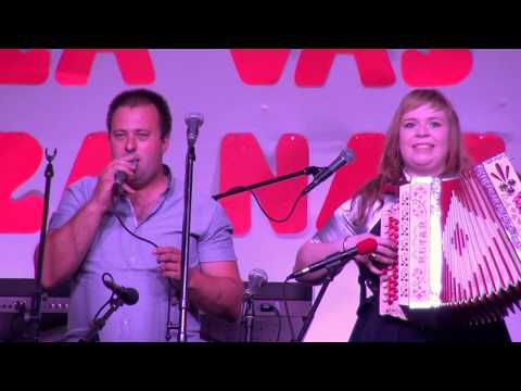 Ansambel Posavski veseljaki - Tuhinjski fantje (v živo)