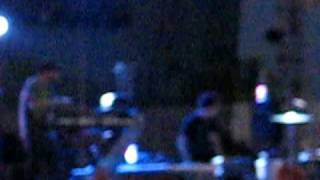 Animal Collective - Lollapalooza 09:  Brother Sport (Intro)