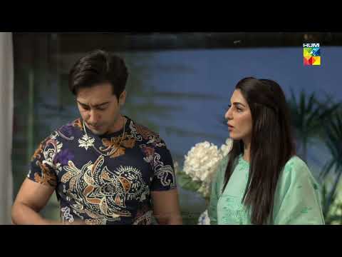 Beqadar- Episode 49 - Best Scene 06 - HUM TV