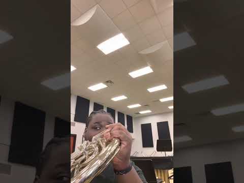 pov: the band director put a tuba player on french horn