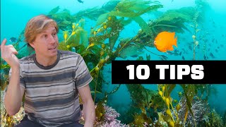 10 Underwater Photography Tips for EVERYONE
