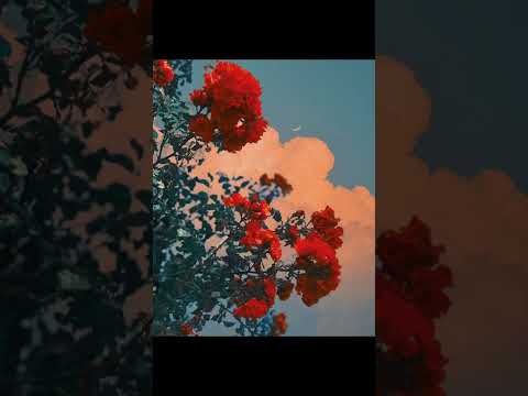 Aghajanyan (TENCA) & Lyov G - Ancac orerum ( slowed )