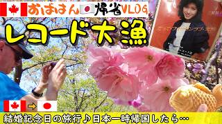カナディアン夫、レコード大量購入&クラフトビール|季節限定~さくら餅たいやきが驚愕美味い|回転寿司|八重桜満開|50代夫婦|ブックオフで2時間も