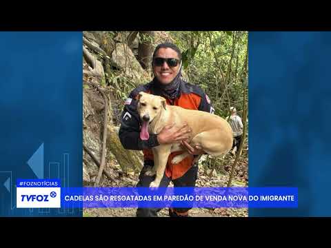 Cadelas são resgatadas em paredão de Venda Nova do Imigrante