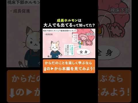  GH のすべて – 筋肉量と定義のためのホルモン