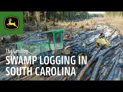 Swamp Logging in South Carolina | John Deere Forestry