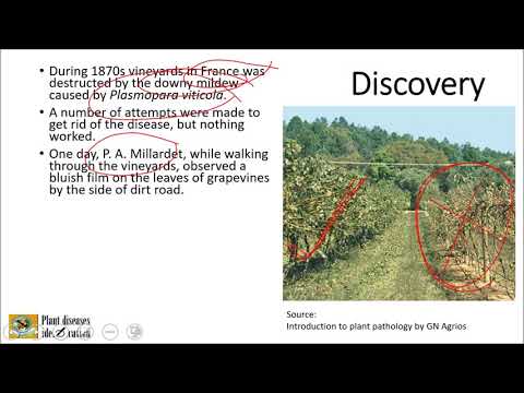 , title : 'Bordeaux mixture | #fungicides | #plantpathology'