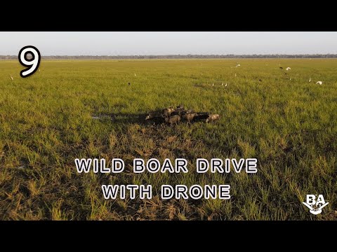 OFF GRID EP9:  DRONE WILD BOAR DRIVE AND HEAD TO THE BEACH FOR NATS BARRA QUEST