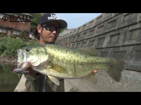 Raid Level Vib Boost 4.6cm 11g 032 Houran S