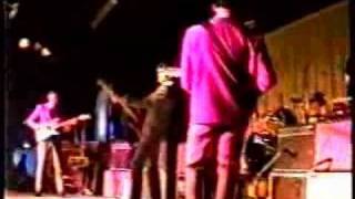 Rapiers - Green Jeans