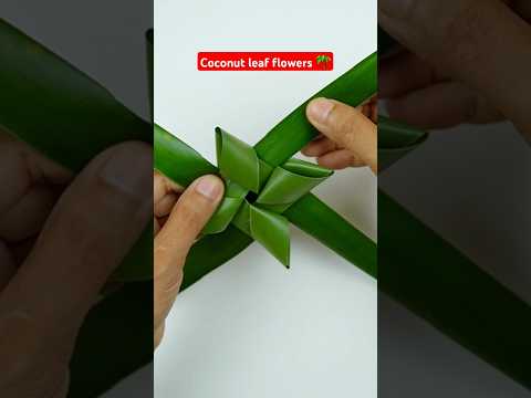 Craft Ideas With Coconut Leaves #craft #handmade #coconut #leaf #reels