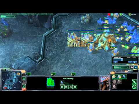 Yegwen Radzi #3 - Adelscott i jego No Gas PvP