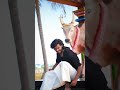 Jallikattu Song WhatsApp Status Pr Appu Maadu G Karthi Kn