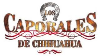 Los Caporales De Chihuahua,Domingo Corrales Y El Corrido De Los Perez.