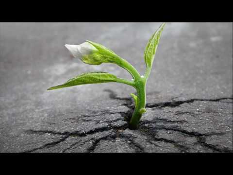 Guy Sweens ~ Inner Strength