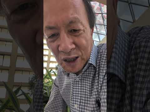 川普对习猛击，赵查胡死因，王求金救习，石何对掐，鸿忠护猪，王陈留后路，王小洪高危