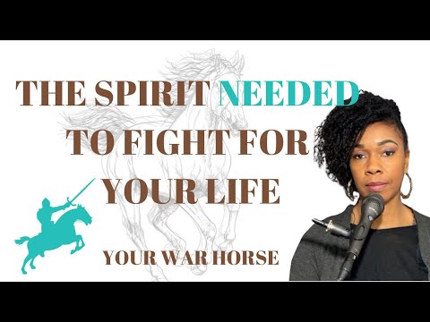 The Spirit To Fight