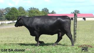 Edgewood Angus Lot 5 A B