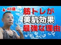 【50代肉体改造】筋トレが肌を綺麗に保つ理由