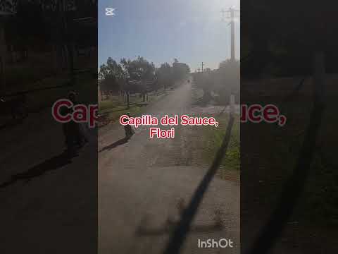 🚍 Ruta a Sarandí del Yí / Recorrido exprés en Turismar.