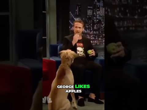Ryan Gosling Has a VERY Special Bond with His DOG!
