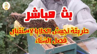 بث مباشر ( كيف تجهّز نحلك لمواجهة فصل الشتاء)