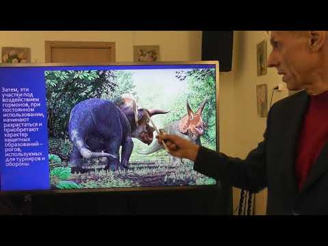 Рога и копыта - как доказательства инволюции бывших людей. Александр Белов 08 10 2022 г.