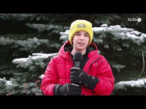 Recomandări de iarnă la munte - Petru Conovaru