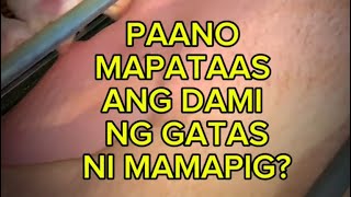 PAANO MAPAPATAAS?