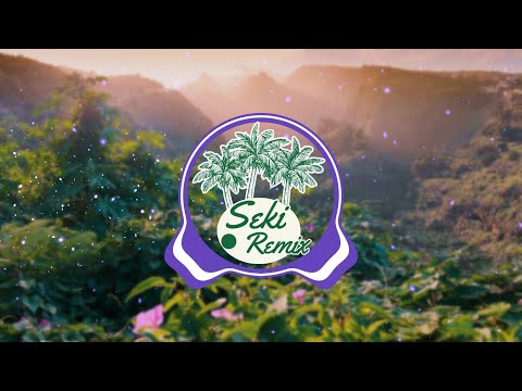 SEKI REMIX - O OE LE TUPU MONI ( NEW REMIX )