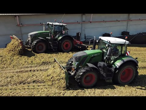 Fendt 939 & 826 | Trincea insilato di mais | Team Sandrini & Garonzi