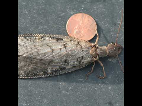 364 10 Quick Tips for a Successful Garden