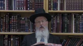 הגאון הרב אברהם יוסף שליט"א האם מותר להדליק נר של בטלה ביום טוב (הרב אברהם יוסף) - התמונה מוצגת ישירות מתוך אתר האינטרנט יוטיוב. זכויות היוצרים בתמונה שייכות ליוצרה. קישור קרדיט למקור התוכן נמצא בתוך דף הסרטון